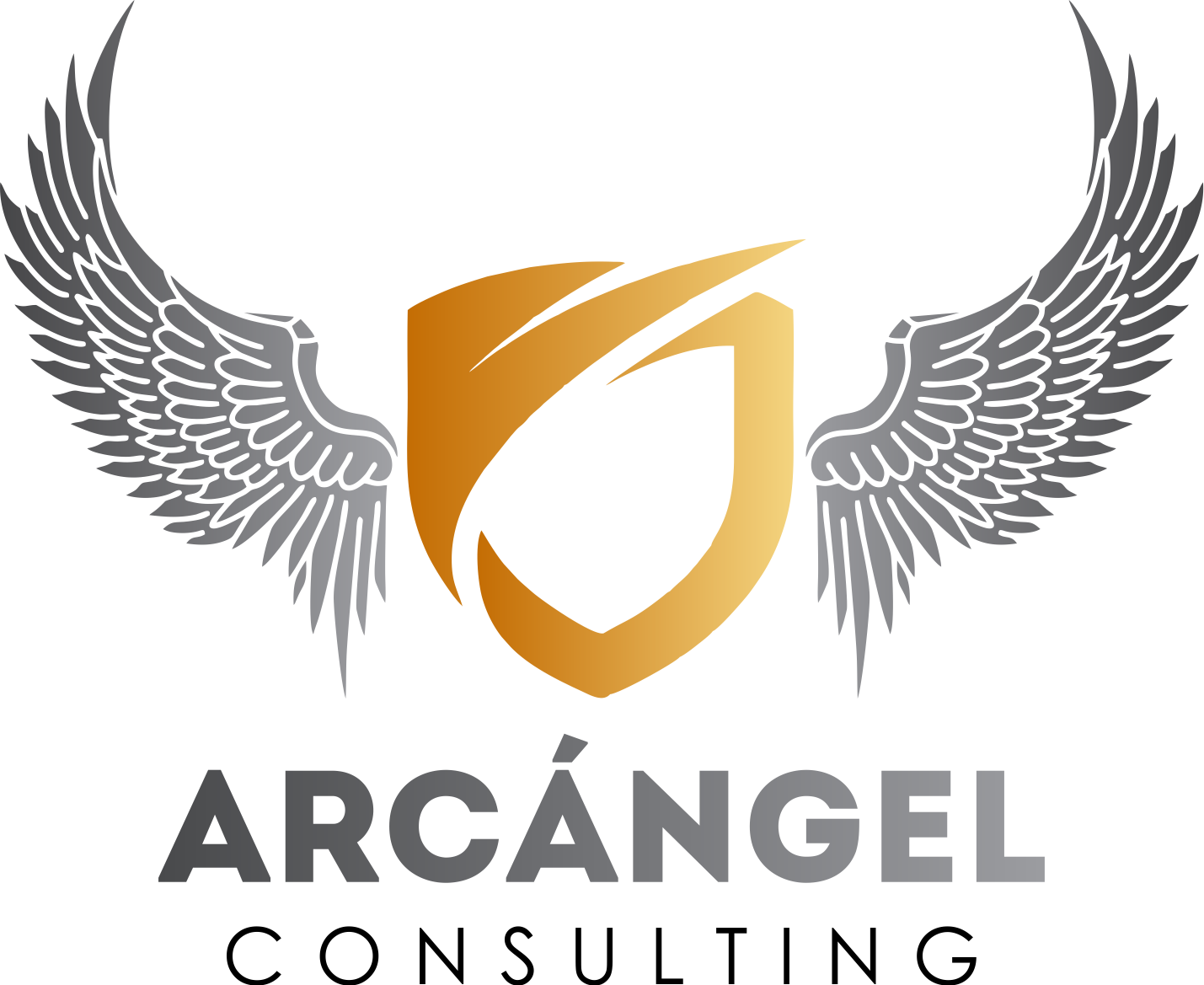 ARCANGEL CONSULTING